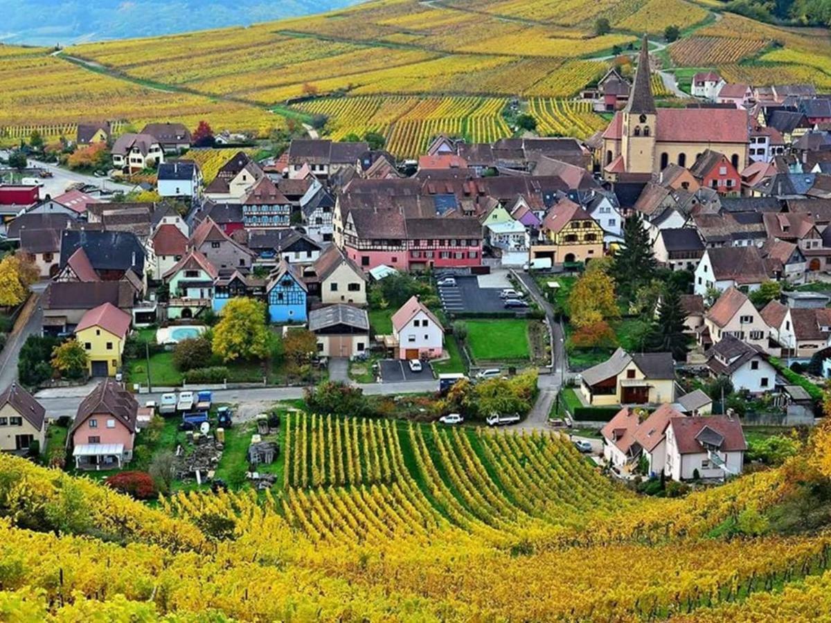 Le Gite Du Sommerberg Niedermorschwihr Ngoại thất bức ảnh